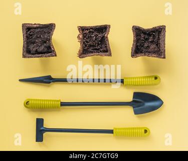 Three peat pots with seeds. Small tools for a home garden, rake and shovels. Flatlay on a yellow background. Favorite pastime. Stock Photo