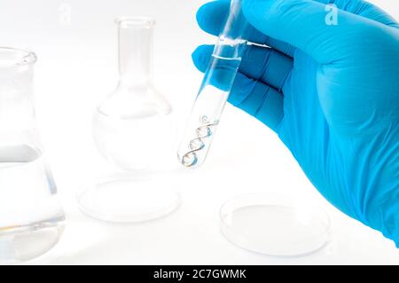 DNA testing, lab experiment and genetic research concept theme with a scientist holding a double helix molecule in a test tube with blue latex gloves Stock Photo