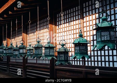 Kasuga Grand Shrine under the sunlight during the daytime in Japan Stock Photo