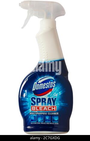 Spray bottle of Domestos Spray bleach multipurpose cleaner isolated on white background - kills bacteria viruses and mould dead Stock Photo