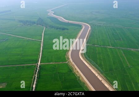 Baicheng. 17th July, 2020. Aerial photo taken on July 17, 2020 shows the paddy field in Lixin Village of Zhenlai County in Baicheng City, northeast China's Jilin Province. Credit: Lin Hong/Xinhua/Alamy Live News Stock Photo