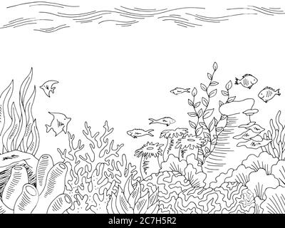 Underwater graphic sea black white sketch illustration vector Stock Vector