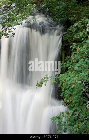 detail of Sgwd Isaf Clun-gwyn waterfall in the Brecon Beacons Stock Photo