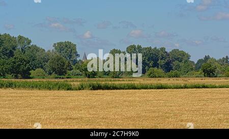 Sunny mown meadows with trees under a clear blue sky in Kalkense ...