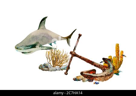 Watercolor underwater scene with anchor on the sea bottom, with seeweeds and small fishes, and big shark. Original concept of shipwerk and diving Stock Photo