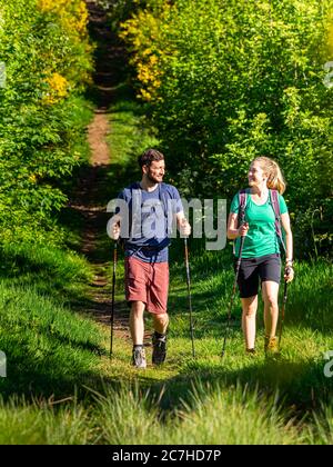 Hiking on the Zweälersteig, hiking trail at the Prechtaler Schanze Stock Photo