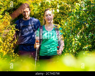 Hiking on the Zweälersteig, hiking trail at the Prechtaler Schanze Stock Photo