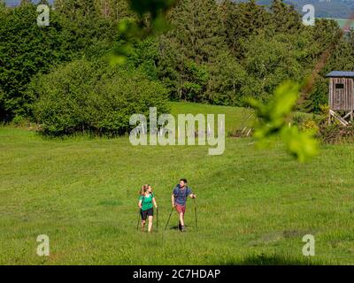 Hiking on the Zweälersteig, hiking trail at the Prechtaler Schanze Stock Photo