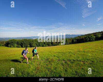 Hiking on the Zweälersteig, hiking trail at the Prechtaler Schanze Stock Photo