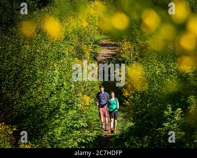 Hiking on the Zweälersteig, hiking trail at the Prechtaler Schanze Stock Photo