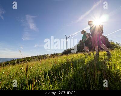 Hiking on the Zweälersteig, hiking trail at the Prechtaler Schanze Stock Photo