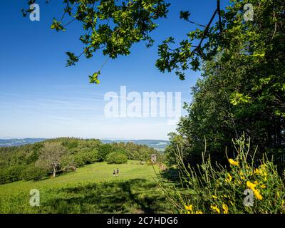 Hiking on the Zweälersteig, hiking trail at the Prechtaler Schanze Stock Photo