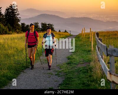 Hiking on the Zweälersteig, narrow hiking trail at the summit of the Kandel, view towards the west Stock Photo