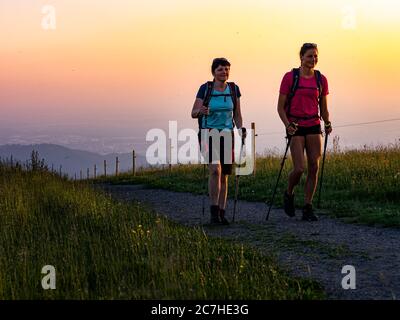 Hiking on the Zweälersteig, narrow hiking trail at the summit of the Kandel, view towards the west Stock Photo