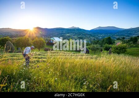 Senior farmer using scythe to mow the lawn traditionally with rural landscape in summer light Stock Photo