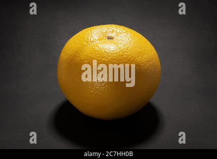 white grapefruit on black background Stock Photo