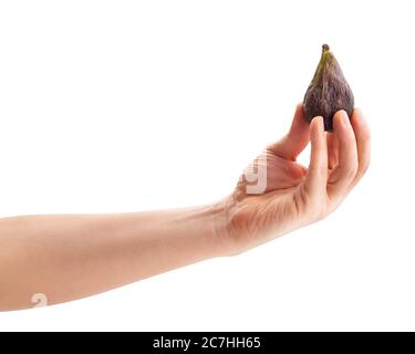 figs in hand path isolated on white Stock Photo