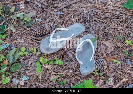 A discarded pair of dirty flip-flops laying on the ground in a park at the lake left and forgotten rotting away polluting the environment Stock Photo