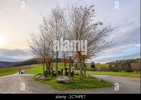 grassy patch with wooden benches in the park under a cloudy sky Stock Photo