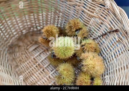 Sweet chestnuts with and without shell in a small basket Stock Photo ...