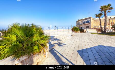 Palm trees at the promenade of Otranto in Italy. Italian vacation. Town Otranto, province of Lecce in the Salento peninsula, Puglia, Italy Stock Photo