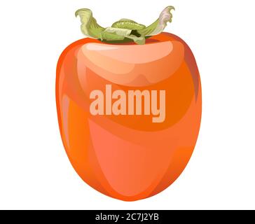 Persimmon. Sweet southern fruit. Orange red. Boring and ripe. Tart. Vector illustration. Isolated object. Transparent background. Stock Vector