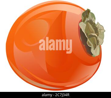 Persimmon. Sweet southern fruit. Orange red. Boring and ripe. Tart. Vector illustration. Isolated object. Transparent background. Stock Vector
