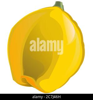 Quince. Vector. Garden fruit. Ripe. Vector illustration. Isolated object. Tasty fragrant fruit. Southern tree. Yellow fruit. Stock Vector