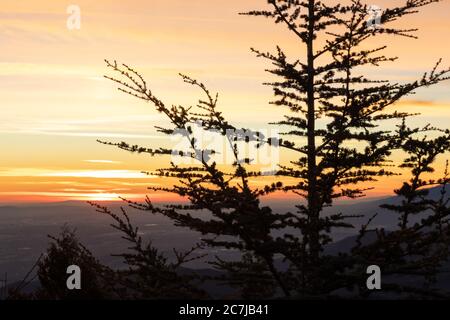 Silhouette of a tree and the sunset at the Lake Arrowhead, California, the USA Stock Photo