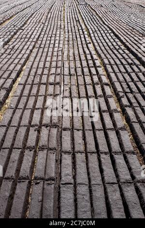 Lines of turf from a peat bog laid out ready for footing in County Kildare, Ireland Stock Photo