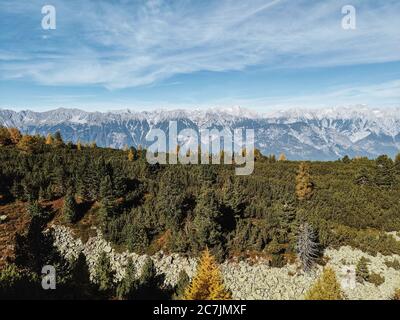 On the way on the Tyrolean stone pine path, view of the Karwendel massif, in the foreground a stone pine forest Stock Photo