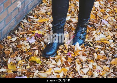 Person wearing black leather boots walking in the colorful leaves Stock Photo