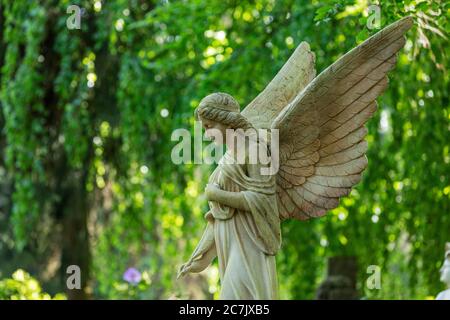 Angel statue, Ohlsdorf cemetery, Hamburg, Stock Photo