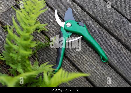Bypass secateurs from 'Garden Feelings' lie on an old wooden tile, Garten, Wilhelmshaven, Stock Photo