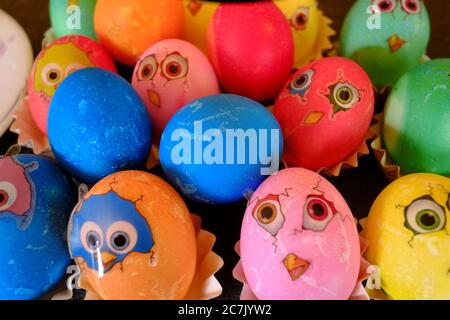 Colored Easter eggs with stickers looking like freshly hatched chickens Stock Photo