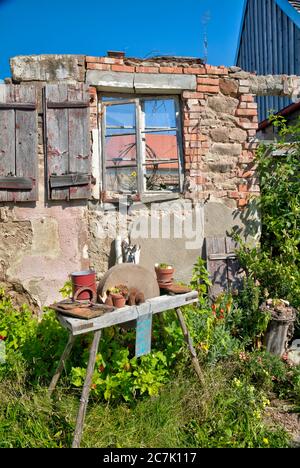 Window Grindstone House facade, Sunflowers, window, grindstone, garden, still life ...