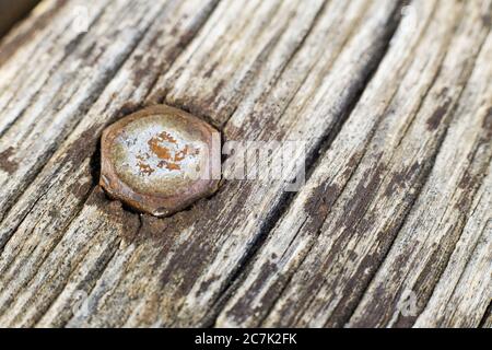 Closeup of an old rusty nail on a wooden plank under the lights with a blurred background Stock Photo