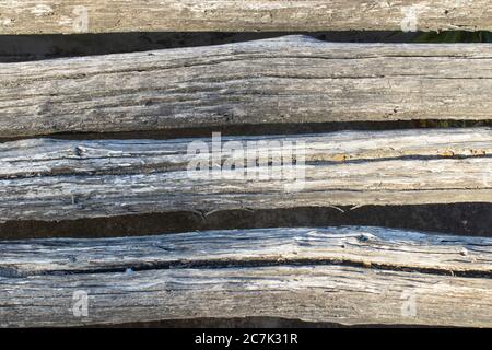 old cut wood stumps to be used as background Stock Photo