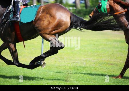 Detail view of a gallop race Stock Photo