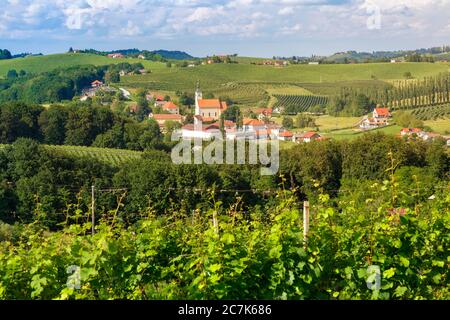 the small village of Miklavz pri Ormozu in the wine growing region of Jeruzalem, Municipality of Ormoz, Slovenian Styria, Slovenia Stock Photo