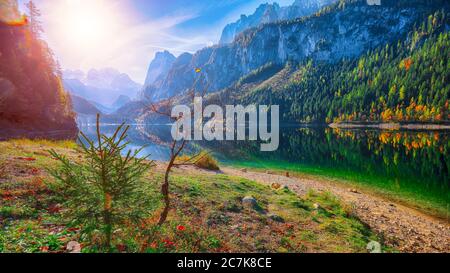 Beautiful view of idyllic colorful autumn scenery with Dachstein mountain summit reflecting in crystal clear Gosausee mountain lake in fall. Salzkamme Stock Photo