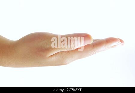 Hand Drawn Sketch Set of Open Empty Hand Reaches Out Against Isolated on White Background. Stock Photo