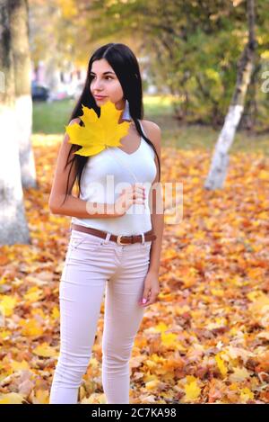 A brunette girl, the park is standing on yellow autumn leaves, holding a maple leaf in her hand, a sunny evening with white jeans and a blouse Stock Photo
