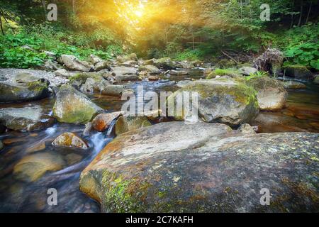 Fairy mountain forest at the river. Fantastic landscape with trees, green leaves, stones and blurred water. Magic woods with yellow sunlight Stock Photo