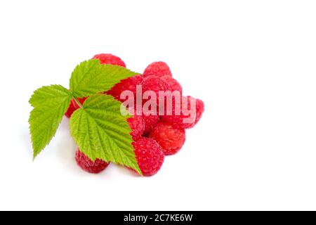 Ripe raspberry berry on a white background with a green leaf Stock Photo