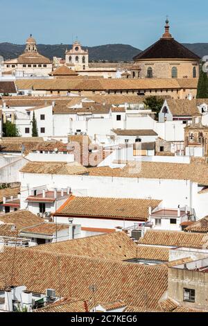 Cordoba's white-washed buildings and terra cotta roofs, with the domes of Iglesia de Santa Victoria and Iglesia de la Compañía in the distance Stock Photo
