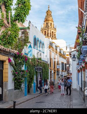 The great stone Minaret of the Mosque-Catherdral of Córdoba rises above the colourful shops and restaurants lining the narrow Calle Romero Stock Photo
