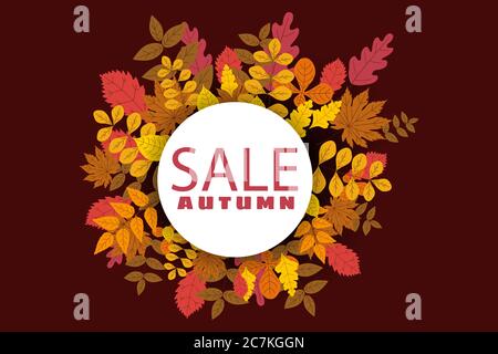 Banner for Autumn Sale, background with falling leaves, yellow, orange, brown, fall, lettering, template for poster, banner, vector, isolated Stock Vector