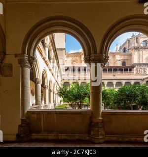 The Church of Saint Jerónimo rises above the orange trees in the garden of the main cloister of the Real Monasterio de San Jerónimo de Granada. Stock Photo