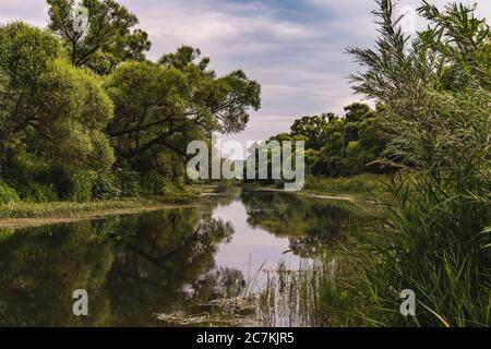 Wide angle shot of a lake surrounded by trees under a clouded sky Stock Photo